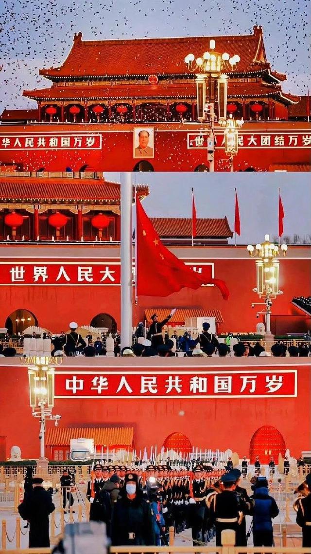 大白猫逃脱